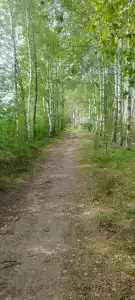 Белое озеро - 74