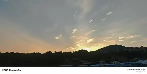 Бетта - 37