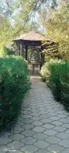 13 кордон - 49