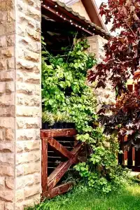 Дачный дворик - 98