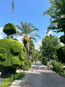 Club Felicia Village - 18