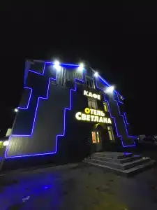Светлана - 21