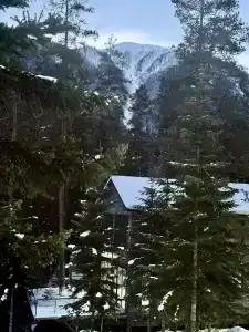 Gorskiy Club - 12