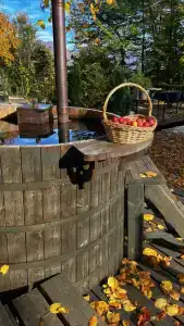 Panorama Village - 41