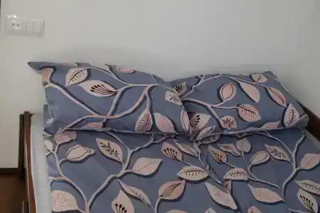 Смородина - 46