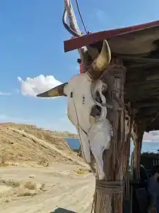 Южное кочевье - 6
