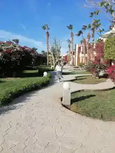 Ali Baba Palace -Families and Couples Only- - 81