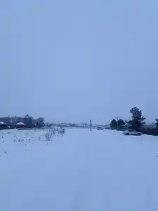 Русский двор - 23