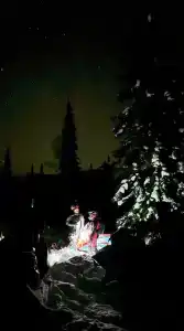 Притяжение - 39