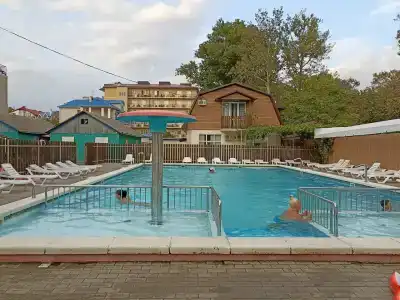 Снегири - 1