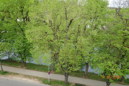 Stadt Tuttlingen - 48