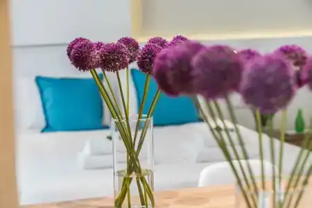 Malama Beach Holiday Village - 58