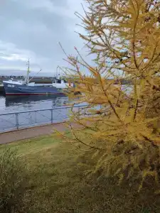 Мир Маяков - 78