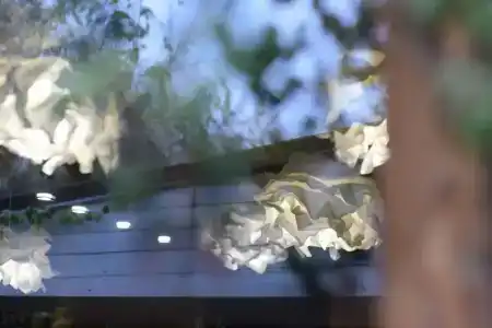 Старый Город - 51