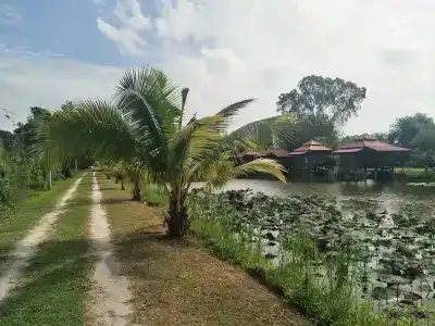 Sarocha Rayong - 11