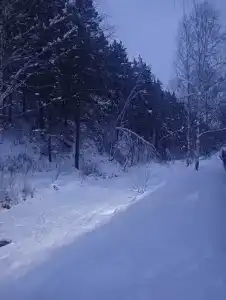 Под мухой - 8