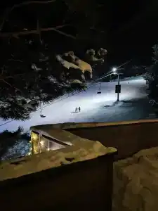 Tatroff Chalet - 6
