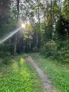 Кристалл - 64