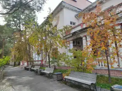 Сосновый бор - 42
