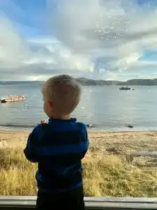 Cedar Grass Териберка - 51