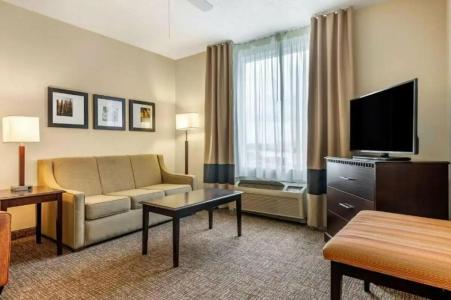 Comfort Suites Maingate East - 20
