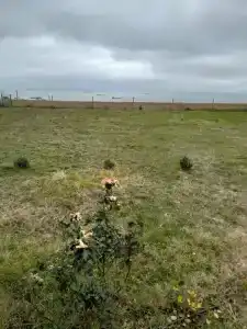 Частный дом на Октябрьской 36 - 40