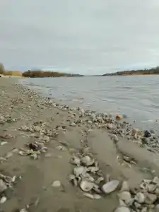 База отдыха электродного завода - 45