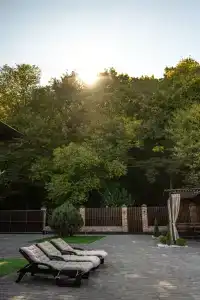Green Forest - 47