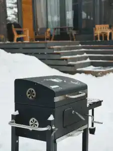 Сосна - 13
