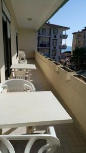 Delphin Side - 36