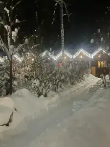 Романтик - 17