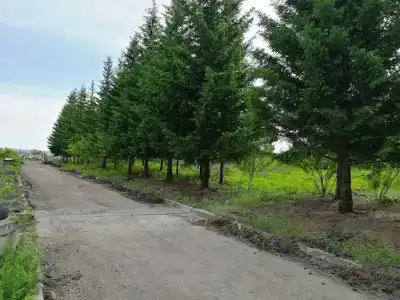 Антей - 24
