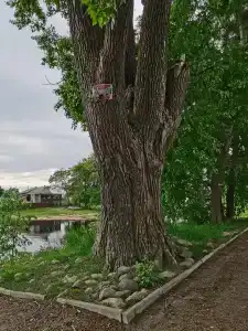 Дом отдыха - 2