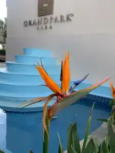 Grand Park Lara - 30