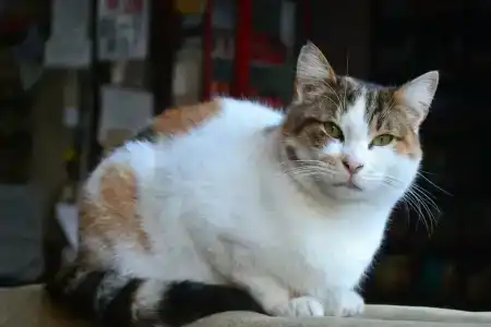 Second Home Hostel - 23