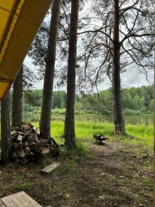 Заповедный край - 82