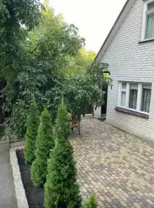 Ночной Квартал - 56