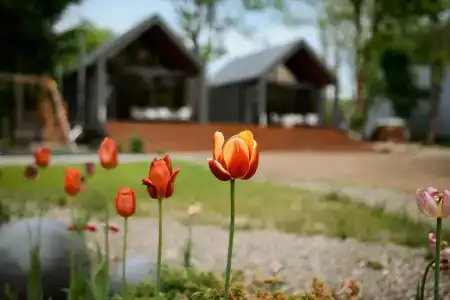 Заимка Узалы - 10