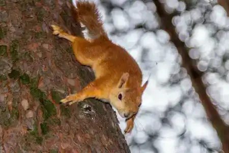 Огни Имандры - 11