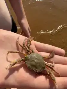 Кристалл - 28