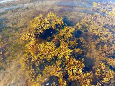 Кузрека-на-Кольском - 4