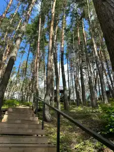 Wish Home Лесной Берег в Мясоедово - 13