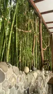 Куба - 4
