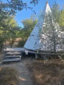 Тишина - 38