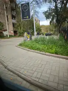 Черная Жемчужина - 17