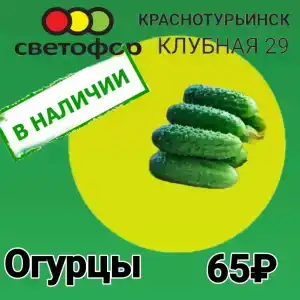 Регион59 - 20