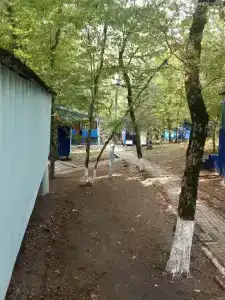 Золотое руно - 6