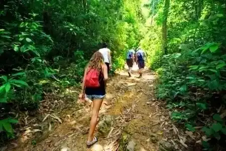 Khao sok river&jungle resort - 32