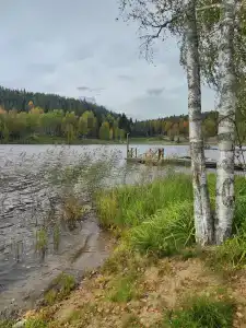 Карельские Лага - 84