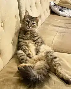 Second Home Hostel - 18